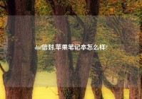 dnf信封,苹果笔记本怎么样?