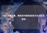 CSGO 小黑头像，独特符号里的游戏文化与社交密码