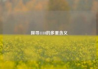 探寻1118的多重含义