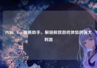PUBG  Top 画质助手，解锁极致游戏体验的强大利器
