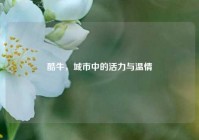 酷牛，城市中的活力与温情