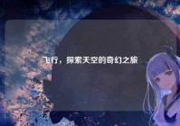 飞行，探索天空的奇幻之旅