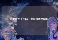 绝地求生（PUBG）兼容设置全解析
