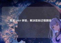优化 CSGO 体验，解决鼠标过慢困扰