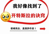 如何用FlashCookiesView查看？保姆级教程来了！