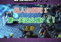 兽人必须死2进不去游戏怎么办？试试这些解决方法！