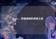 Segate，存储领域的卓越之选