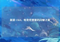 新浪 CSGO，电竞世界里的闪耀之星