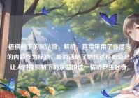 梧桐树下的灰姑娘，解析，直接采用了你提供的内容作为标题，能简洁明了地传达核心信息，让人对梧桐树下的灰姑娘这一情境产生好奇。