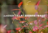 nba08汉化补丁怎么弄？超简单教程一看就会！