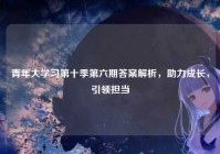 青年大学习第十季第六期答案解析，助力成长，引领担当
