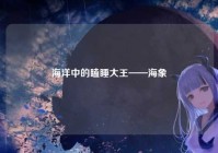 海洋中的瞌睡大王——海象