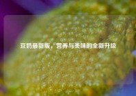 豆奶最新版，营养与美味的全新升级