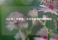 2018 年 1 月里番，小众世界中的别样精彩