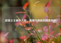 战地之王刷永久枪，真相与风险的深度剖析