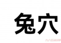 兔区是什么地方?老司机带你了解这个神秘论坛!