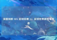 深度剖析 FIFA 足球经理 13，足球世界微观掌控者