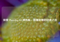 探索 Photoshop 6.0 绿色版，图像处理的经典之选