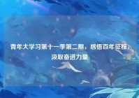 青年大学习第十一季第二期，感悟百年征程，汲取奋进力量