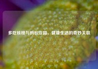 多吃核桃与蚂蚁庄园，健康生活的奇妙关联