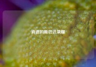 消逝的斯巴达荣耀