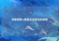 深度剖析lol美服无法游玩的原因