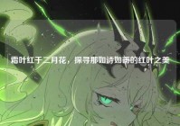 霜叶红于二月花，探寻那如诗如画的红叶之美