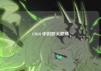 CSGO 中的怒火燃烧