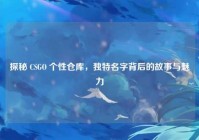 探秘 CSGO 个性仓库，独特名字背后的故事与魅力