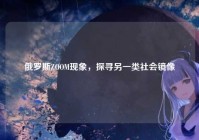 俄罗斯ZOOM现象，探寻另一类社会镜像