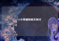 CF小草辅助相关探讨