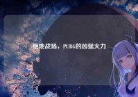 绝地战场，PUBG的凶猛火力