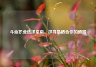 斗仙职业选择指南，探寻最适合你的道路