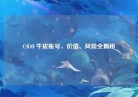 CSGO 牛皮账号，价值、风险全揭秘
