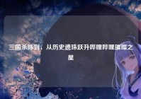 三国杀陈到，从历史遗珠跃升哔哩哔哩璀璨之星