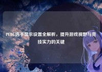 PUBG选手显示设置全解析，提升游戏视野与竞技实力的关键