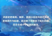 问道老君查岗，解析，直接以给定内容问道老君查岗作为标题，简洁明了地概括了核心内容，符合生成一个标题的要求。