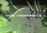 PUBG 端游，于竞争变革中摸索前行之道