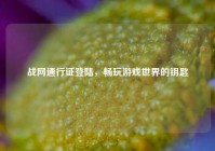 战网通行证登陆，畅玩游戏世界的钥匙