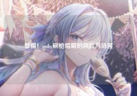 警惕！pubg刷枪暗藏的风险与危害