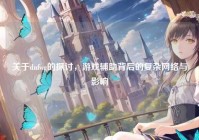关于dnfwg的探讨，游戏辅助背后的复杂网络与影响