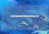 探秘海螺眼睛藏身的神秘角落