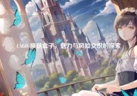 CSGO 换肤盒子，魅力与风险交织的探索