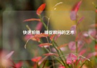 快速拍摄，捕捉瞬间的艺术