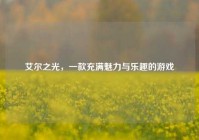 艾尔之光，一款充满魅力与乐趣的游戏
