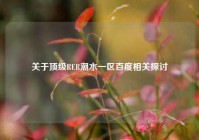 关于顶级RER潮水一区百度相关探讨
