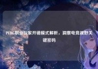 PUBG职业玩家开镜模式解析，洞察电竞视野关键密码