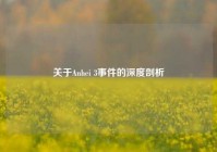 关于Anhei 3事件的深度剖析