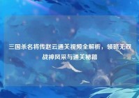 三国杀名将传赵云通关视频全解析，领略无双战神风采与通关秘籍