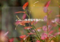 cf cdkey,cf阵营暗号是什么?